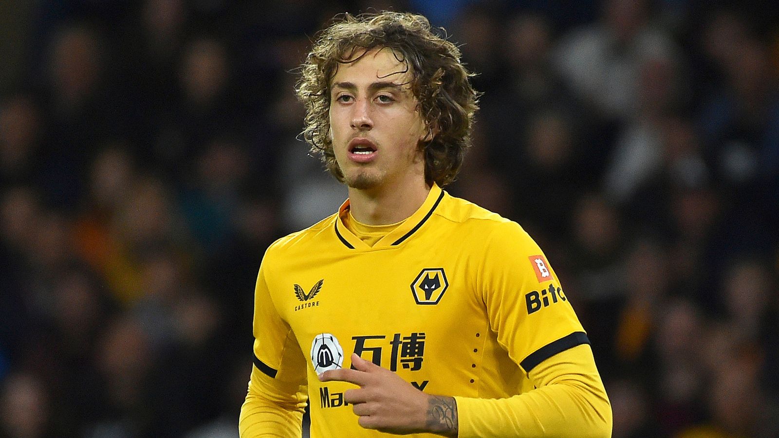 Fabio Silva for Wolves