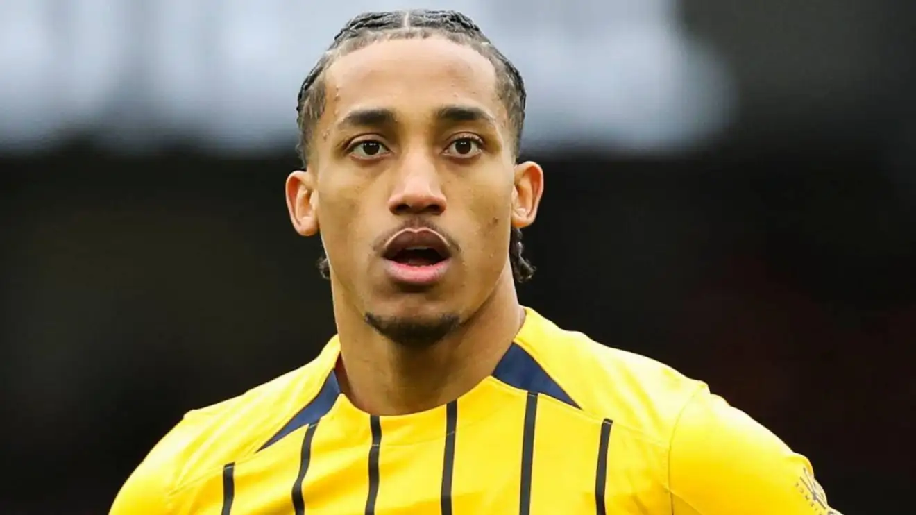 Joao Pedro for Brighton