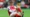 Martin Odegaard knee injury