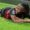 Semenyo linked with Liverpool move