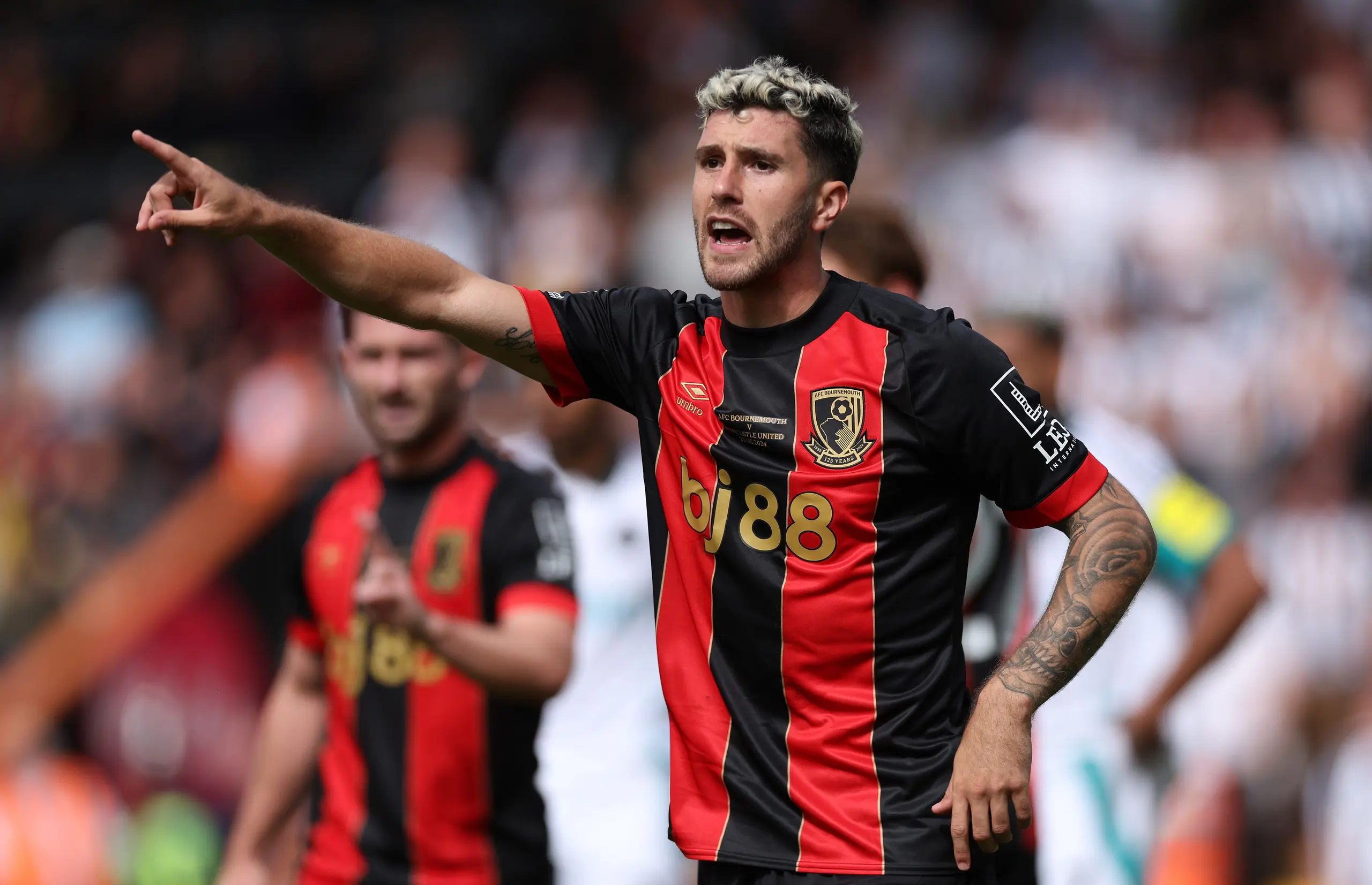 Marcos Sanesi will leave Bournemouth on a free transfer this summer